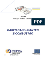 Gases Carburantes e Combustão