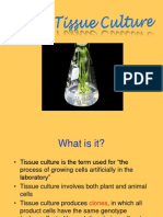 Plant Tissue Culture and Applications