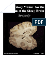 Lab Manual Sheep BrainWithDefinitions