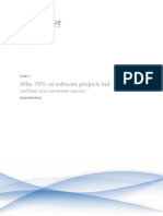 Solentive Whitepaper Why Software Projects Fail Part 1