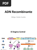 ADN Recombinante 