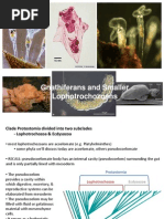 Gnathiferans and Smaller Lophotrochozoans