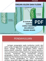 Struktur Penyusun Xilem Dan Floem