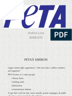 English Presentation Peta