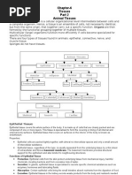 Chapter-6 Tissues Animal Tissues: Tissue Is A Cellular Organizational Level Intermediate Between Cells and