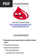 Leukopoiesis