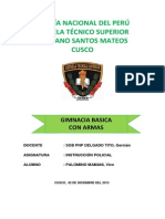 Gimnasia Basica