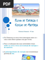 MM-Fluxo de Energia e Ciclos de Materia PDF