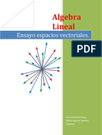 Espacios Vectoriales