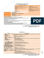 Patologia de Glandulas Salivales