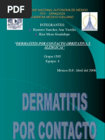 Dermatitis Alergica