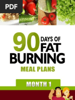 90 Days of Fat Burning