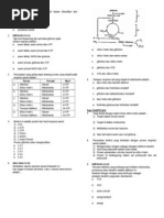 Latihan Soal Katabolisme