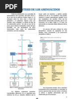 Biosíntes de Aminoácidos