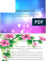 Cadrul Didactic