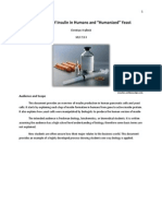 Insulin Production Final