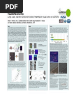 Large-Scale, Real-Time Functional Models of Mammalian Visual Cortex On A GPGPU