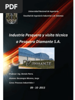 Informe Pesquera Diamante