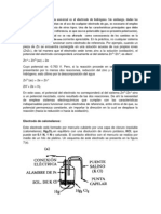 Electrodos de Referencia