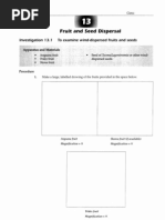 Fruit Seed Dispersal