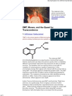 DMT, Moses, and The Quest For Transcendence