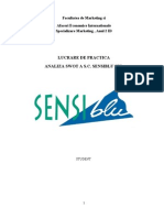 Lucrare de Practica SC Sensiblu SRL