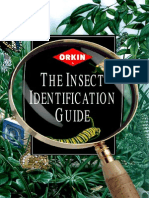 Insects Identification Guide