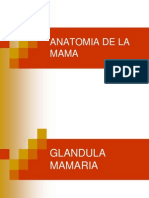 Anatomia Quirurgica de La Mama