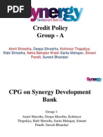 Credit Policy Guidelines