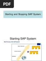 2.SAP Startstop Process