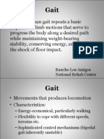 Gait Cycle