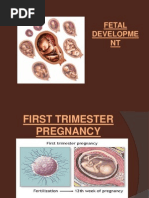 Fetal Development