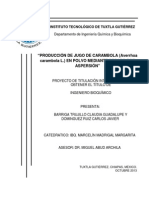 PROTOCOLO Carambola Final