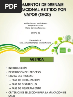 SAGD Exposicionb1