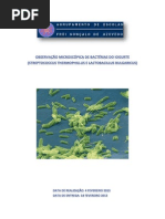 Observação Microscópica de Bactérias Do Iogurte - Streptococcus Thermophillus e Lactobacillus Bulgaricus