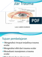 Trauma Ocular