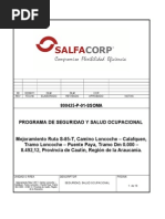 1.-Programa Ssoma 1 - Salfa Loncoche