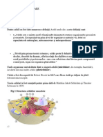 Celula Eucariota Structura Si Ultrastructura