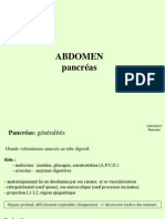 Anatomie Pancreas