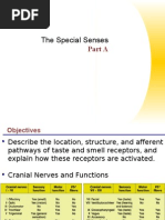 Special Senses Part 1 (Taste & Smell)