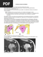 Hombro Diagnostico PDF