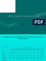 Tipuri Morfoproductive La Animalele Domestice