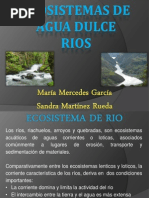 Ecosistema Rios