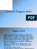 Comuna Targsoru Vechi 2