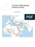 L-M349 (L1b1a) Kenézy Ancestral Journey