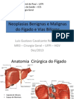 Neoplasias Benignas e Malignas Do Fígado e Vias PDF