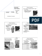 Plant Nutrition: Soil Quality Impacts Plant Vigor: Physiological Ecology: Plant Adaptations To Their Needs