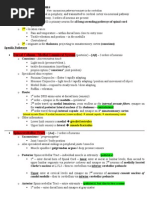 Neuroanatomy Tracts