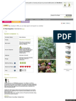 WWW Pfaf Org User Plant Aspx LatinName Cynara Scolymus