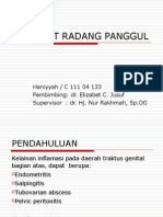 Penyakit Radang Panggul